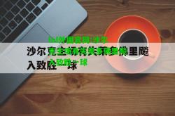 lol外围官网:沙尔克主场有失莱多佛里飚入致胜一球